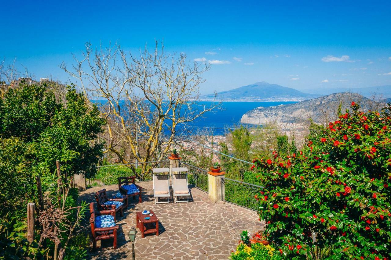 Villa Rossella Sorrento Bagian luar foto